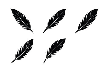 bird feather icon vector abstract feather design