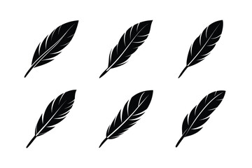 bird feather icon vector detailed but minimal