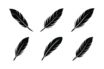 bird feather icon vector smooth feather illustration