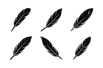 bird feather icon vector elegant bird feather icon