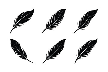 bird feather icon vector minimalistic style