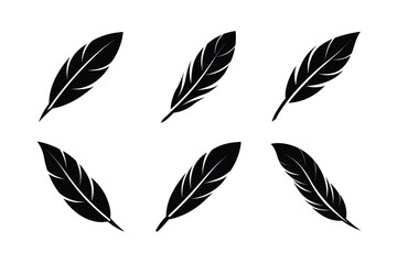 bird feather icon vector detailed but minimal design