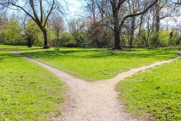 Y-shaped Path in Vibrant Green Spring Park Symbolizing Decision Making Crossroads