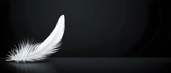 Obraz premium White Feather On Dark Background