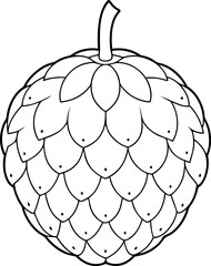 Minimalist Line Drawing of Custard Apple Fruit with Leaf