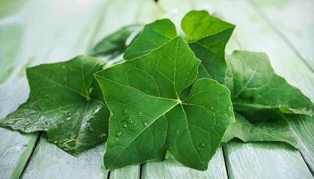 top of the ivy gourd vegetables