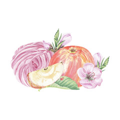 Apple, marshmallow, flowers, slice watercolor illustration hand drawn on white background. Autumn fruit composition for logo, menu, poster, print, pattern. Art for design. Healthy eating food