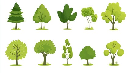 Diverse Trees Illustration