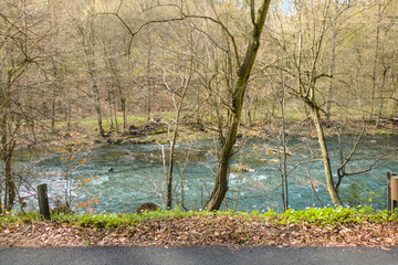 Capture the serene beauty of early spring with this vibrant forest landscape featuring a gently flowing river bathed in warm sunlight. Fresh green trees.