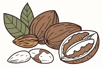 10 Realistic photo, assorted nuts, almonds, Brazil nuts, green leaves, whole nuts, cracked nuts, shelled nuts, closeup, high detail, studio lighting, white background, food photography, healthy snacks