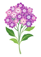 Beautiful flower illustration featuring purple flowers floral design spring flower arrangement art work
