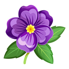 Illustration of a purple flower pansy blossom bloom with green leaves floral design element art