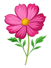 Pink cosmos flower illustration vector drawing floral design botanical art nature blossom bloom petal stem