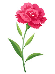 Beautiful pink carnation flower illustration with green leaves stem floral design botanical art