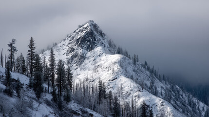 A snow covered mountain peak rises majestically into a cloudy sky, surrounded by a forest of evergreen trees dusted with snow on a chilly winter day outdoors.