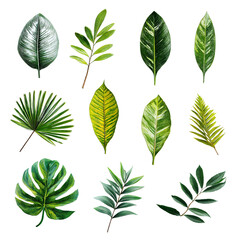 Vibrant Watercolor Tropical Leaves Collection of 12 Unique Leaf Illustrations