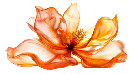 Translucent Flower, Orange and Yellow Color Petals, cut out transparent