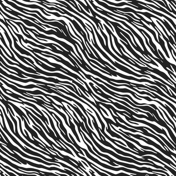 Seamless zebra skin texture - Zebra skin texture - Animal Print Vector Background - use in wallpapers, packaging, branding, and modern abstract decor