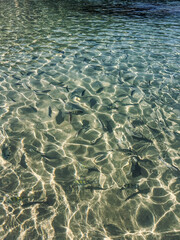 Scenic Coastal Region with Exotic Birds, Shipping Port, and Natural Beauty