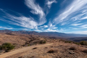 Naklejka premium Top view wide high angle go motion 