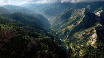 Naklejka premium An aerial view showcases a breathtaking mountain range with lush green forests and a winding river flowing through the dramatic canyon on a bright sunny day.