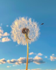 Obraz premium Wallpaper of flying dandelion plant with a beautiful nature background Generate AI