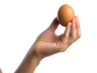  woman is holding a brown chicken egg isolated on white background ,PNG