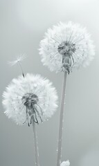 Wallpaper of flying dandelion plant with a beautiful nature background Generate AI