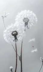 Wallpaper of flying dandelion plant with a beautiful nature background Generate AI