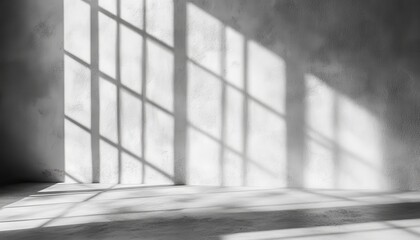 Sunlight streams through a window, casting shadows on a light gray wall and floor