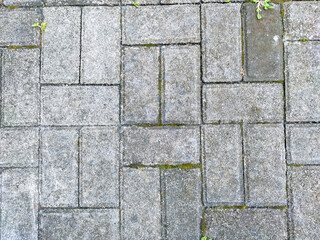 A textured pavement composed of interlocking grey rectangular paving stones. Sparse vegetation, including moss, occupies the interstitial spaces between the paving units, creating a patterned backdrop