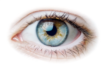 A sharp close-up of a blue-green eye with distinct veins in the sclera and detailed lashes, isolated on white background.PNG