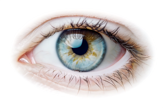 A sharp close-up of a blue-green eye with distinct veins in the sclera and detailed lashes, isolated on white background.PNG