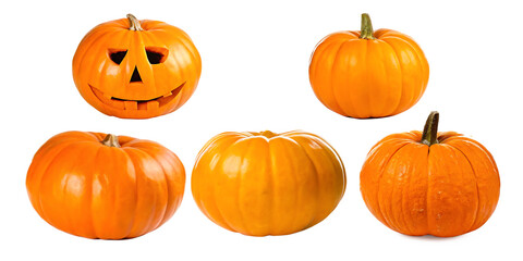  pumpkin isolated on white background PNG
