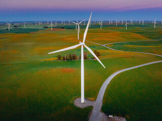 Aerial view of wind turbines at dusk  in fields of grass and wildflowers 