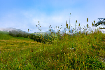 La magnifique montagne de Ch&acirc;tel, envelopp&eacute;e de nuages, offre un paysage &agrave; couper le souffle, m&ecirc;lant la majest&eacute; des sommets &agrave; la douceur des nuages qui la caressent."