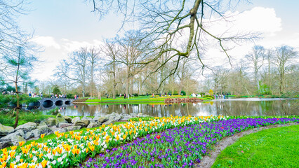 Obraz premium Panoramic view of the gardens by the lake at Keukenhof, Lisse, Netherland 