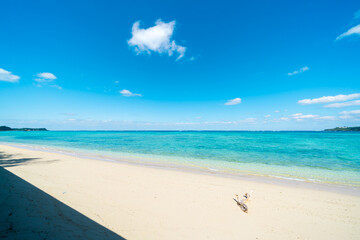 沖縄の海