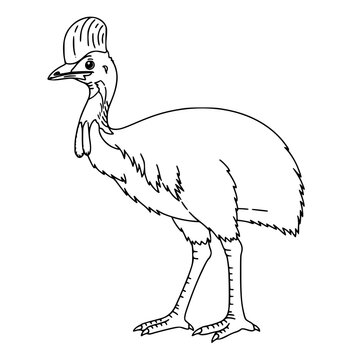 Cassowary Simple Vector Outline in minimalistic black and white design 