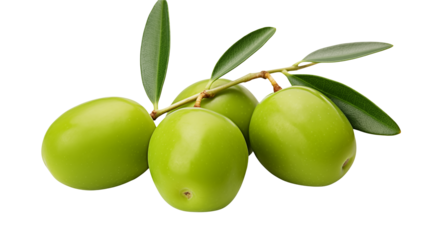 Close up of a cluster of shiny green olives with leaves still attached isolated on transparent background	