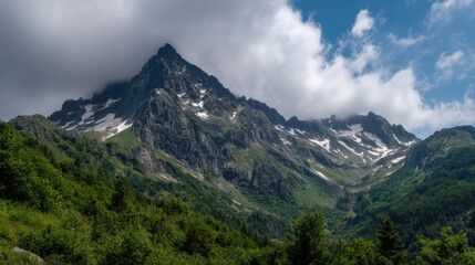 Fototapeta premium A majestic mountain peak partially covered in snow rises above a lush green forest under a cloudy sky, showcasing the beauty of nature and a sense of wonder.