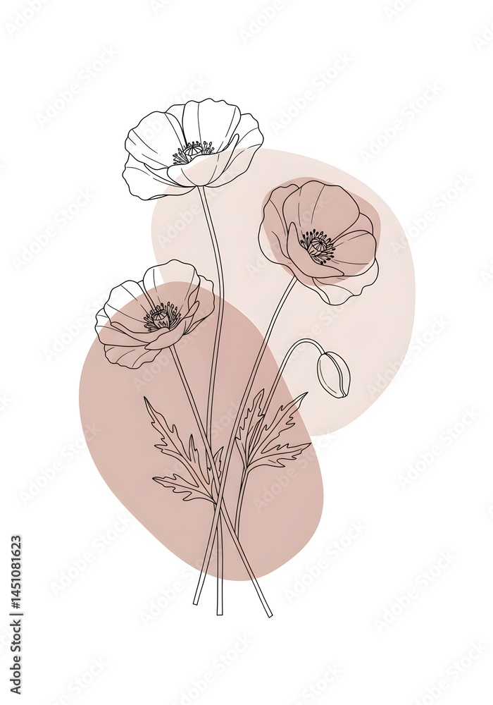 Poster elegantly drawn poppies with soft abstract shapes creating a minimalist flower illustration for back