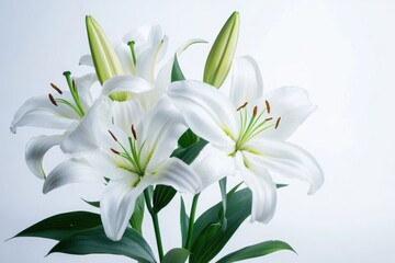 Fototapeta premium Elegant bouquet of white lilies with green stems and leaves, set against a clean, bright background.
