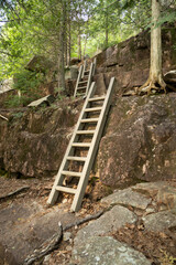Series Of Ladders At The Beginning Of Cadillac West Trail In Acadia