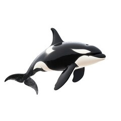 Obraz premium realistic ocean animal cutouts killer whale orca isolated, realistic orca on white, ocean predator animal on transparent background