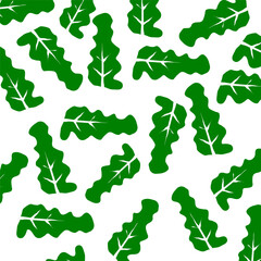 Obraz premium set of green leaves