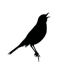 Solid black silhouette of a bird singing, vector EPS