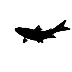 Fototapeta premium Solid black silhouette of a fish swimming, vector EPS