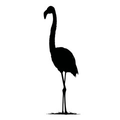 Obraz premium Solid black silhouette of a flamingo standing, vector EPS