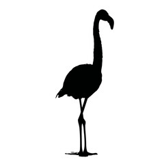 Solid black silhouette of a flamingo standing, vector EPS